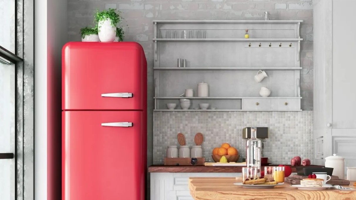 ফ্রিজের ওপর এই ৯টি জিনিস রাখা মোটেই ঠিক নয় - জেনে নিন কেন